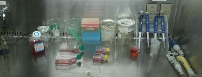 Laboratório de Microbiologia - LIKA/UFPE is one of Centros Acadêmicos da UFPE.
