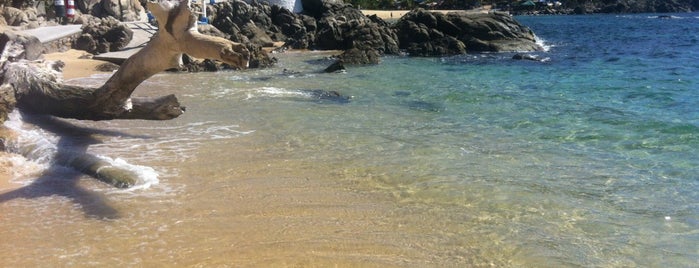 Playa Puerto Angelito is one of Posti che sono piaciuti a Omar.