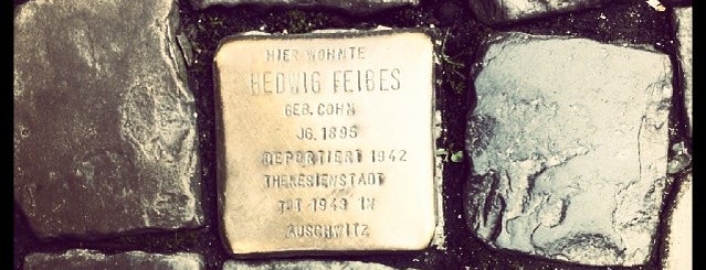 Stolperstein Hedwig Feibes is one of Stolpersteine 1933 - 1945.