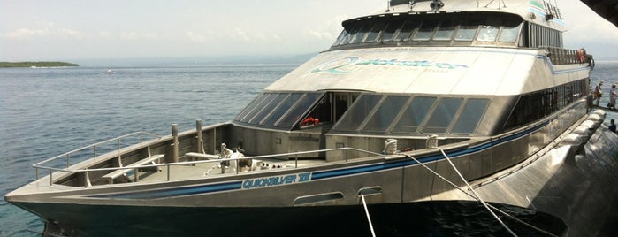 Quicksilver Cruise (The Jewel of Bali) is one of Bali - Nusa Dua-TJ Benoa.