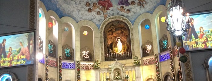 National Shrine of Our Lady of Lourdes is one of Diocese of Cubao.