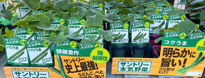 ビバホーム 板橋小豆沢店 is one of お買い物.