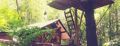 Khao Sok Tree House Resort is one of Discotizer’s Liked Places.
