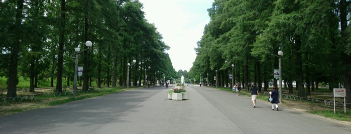 Tsurumiryokuchi Expo '90 Commemorative Park is one of osaka.