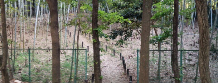 国松公園 is one of OSAMPO.