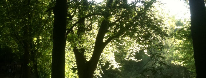 Hampstead Heath is one of London's Parks and Gardens.