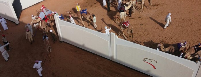 Dubai Camel Racing Club is one of Clive'nin Beğendiği Mekanlar.
