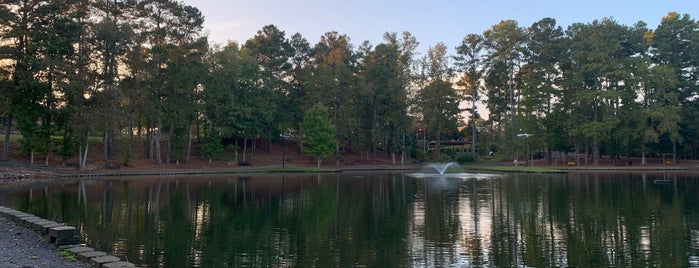 Roswell Area Park is one of ATL.