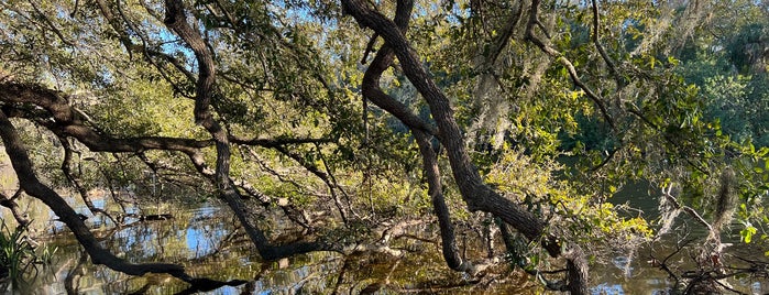 River Tower Park is one of City of Tampa Parks.