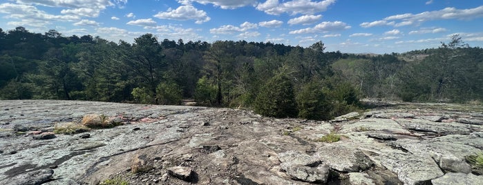 Panola Mountain State Park is one of Parks and Hikes.