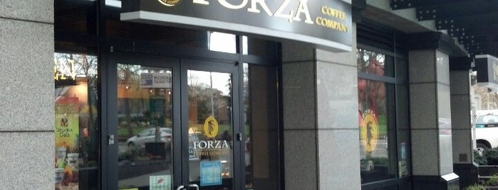 Forza Coffee Company is one of สถานที่ที่ Ben ถูกใจ.