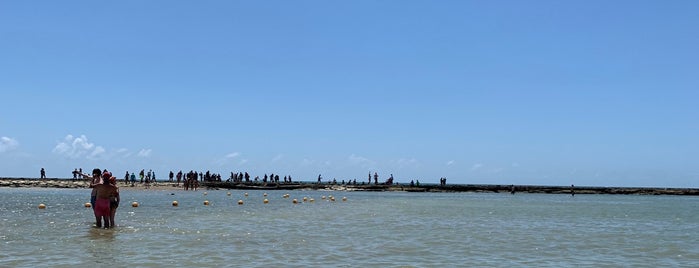 Piscinas Naturais da Praia dos Carneiros is one of Olinda e Recife.
