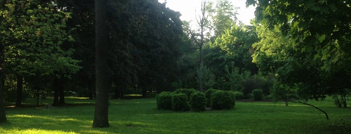 Berezovaya Roshcha Park is one of Москва к изучению.