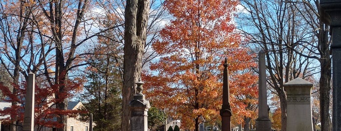 Mt Grove Cemetery is one of Connecticut.