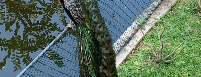 Peacock Villa is one of Sri Lanka.