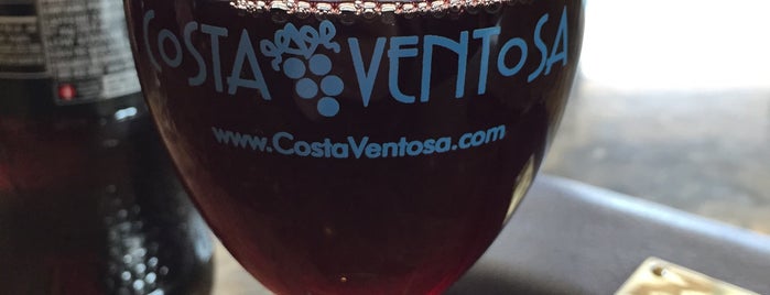 Coasta Ventosa is one of Wineries.