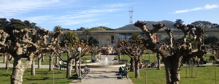 Golden Gate Park is one of SF visits.