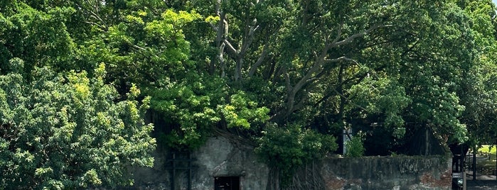 Anping Treehouse is one of Tainan.