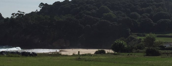 Playa Toranda is one of Un día en Llanes.