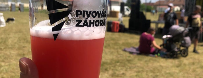 Pivovar Záhora is one of 2 Czech Breweries, Craft Breweries.