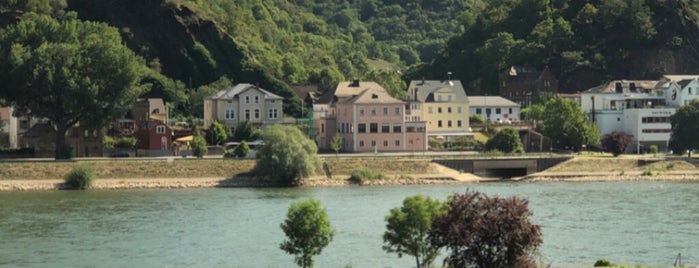 Rhein is one of สถานที่ที่ Laura ถูกใจ.