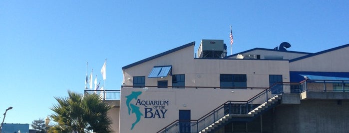 Aquarium of the Bay is one of San Francisco.