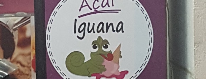 Iguana Sorveteria is one of Locais curtidos por Carlos.