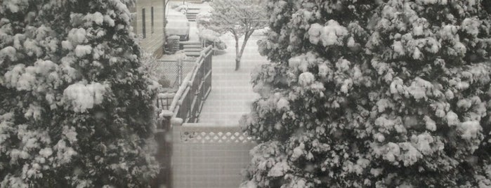 Snowpocalypse: Winter 2013-2014 is one of Boğa.