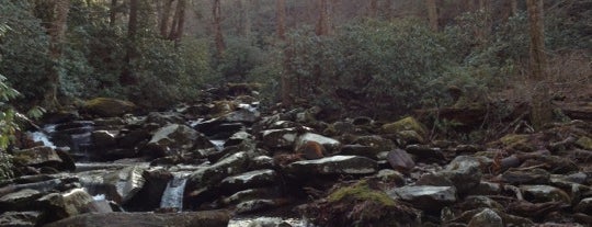 Great Smoky Mountains National Park is one of Places to Go.