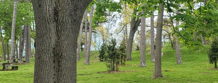 Forest River Park is one of Salem.