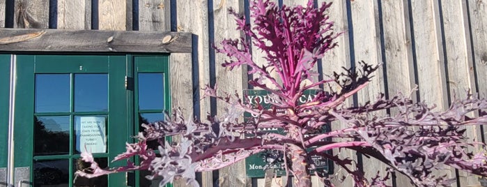 Tendercrop Farm at Canaan is one of Beverly and around.