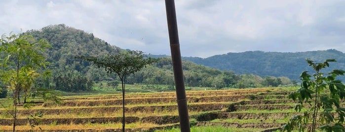 Gubuk Makan Iwak Kalen is one of sekitaran jogja.