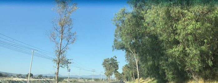 laguna de zumpango is one of Lieux qui ont plu à Luis.