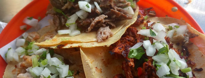 Carnitas del Sr. Rojas is one of Tacos & Tortas.
