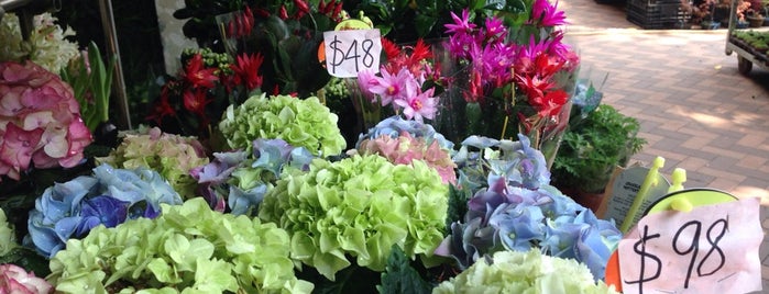 Mongkok Flower Market is one of 香港游 Hong Kong Visit.