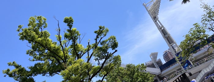 横浜公園 is one of ぱぶりっく.