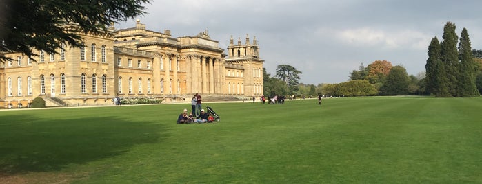 Blenheim Palace is one of United Kingdom.