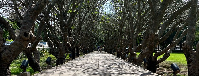 Tree Tunnel is one of Nan.