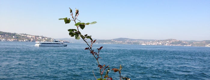 Taç Balık is one of Istanbul.
