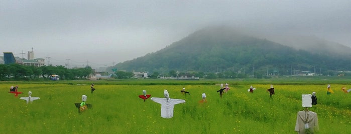 영광백수해안도로 is one of KOREA 전라도.