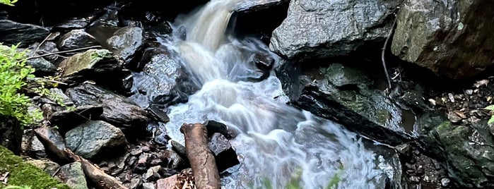 Housatonic Rail Trail is one of Running Places.