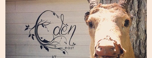 Eden East at Springdale Farm is one of Austin: To-do's & Favs.