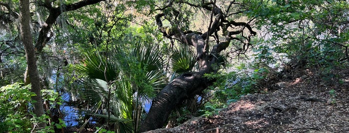 Mayfield Park and Nature Preserve is one of Austin Tejas.