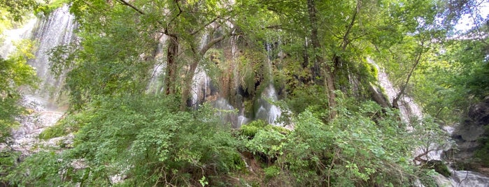 Gorman Falls is one of Lieux qui ont plu à Andrei.