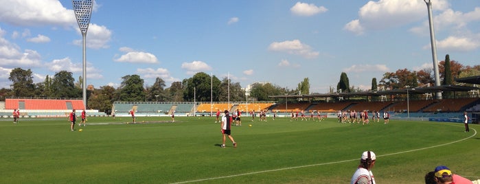 Manuka Oval is one of Cricket.