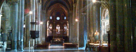 Basilica di Santa Maria sopra Minerva is one of ✢ Pilgrimages and Churches Worldwide.