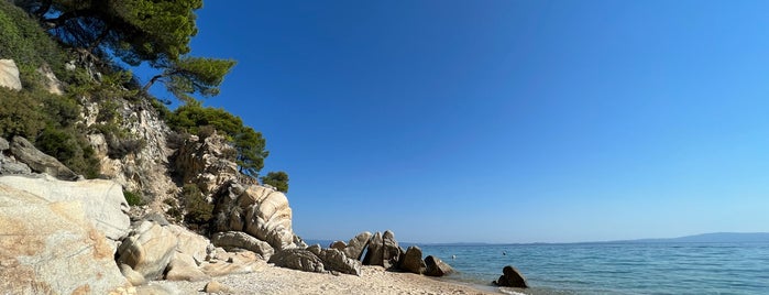 Fava Beach is one of Sithonia.