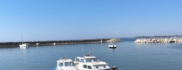 Dalyan Cafe Marina is one of Burcuさんのお気に入りスポット.