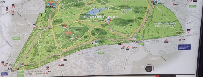 Richmond Park is one of Lieux qui ont plu à Sole.