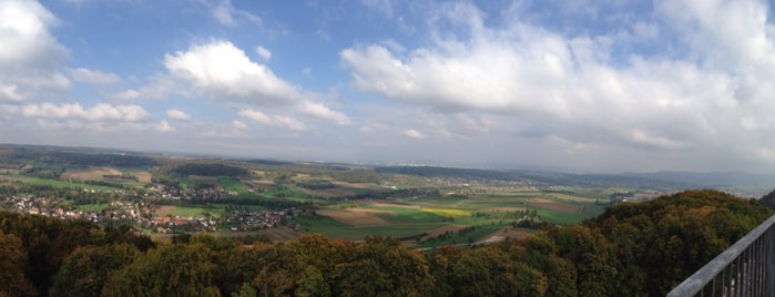 Ruine Landskron is one of Orte, die Amit gefallen.